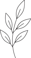 Simple leaf line art, black on white