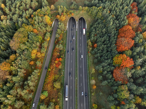 Aerial view of tunnels cutting through the dense autumn forest, a stark contrast of gray concrete and vibrant foliage, Hoenderloo, Gelderland, Netherlands.