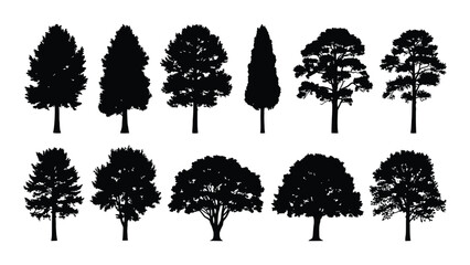 Collection of various tree shapes in a striking black silhouette © Rian