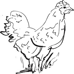 Simple Hand Drawn Farm Hen Bird Outline Sketch
