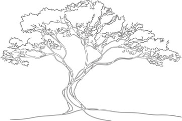 Obraz premium vector tree silhouette or sketch art or line art vector of tree made by hand drawn black and white lines. 