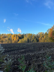 A plowed field with dark soil, small plants, autumn trees, and distant industrial smoke, ideal for agricultural themes, environmental contrast visuals, and rural landscape photography.