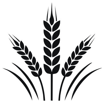 Three wheat stalks icon simple black vector illustration Cereal grain symbol for agriculture harvest and bakery