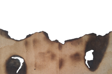 Distressed burned paper texture with jagged edges and charred holes for an aged effect isolated on transparent background