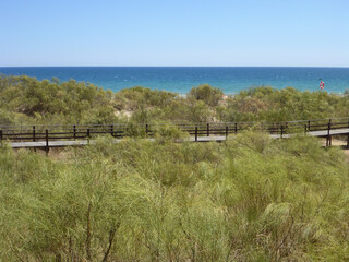 Fototapeta premium Holzweg durch die Dünen der Praia Verde, Algarve