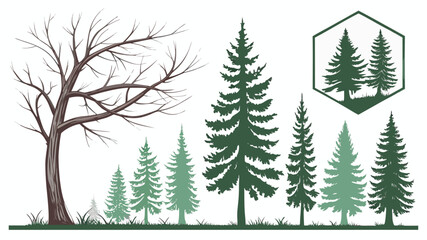 Obraz premium Vector illustration vector illustration of various green pine trees with different shades and sizes