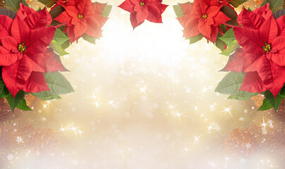 Christmas template background with poinsettia flowers for decoraton. New Year winter holidays fantasy concept with decorations and copy space, snowy shiny wide banner.