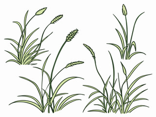 Obraz premium Vector illustration green grass plants with stems and leaves