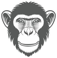 Obraz premium Close-up graphic of a chimpanzee face, isolated animal illustration, gray and white primate, ape face cartoon vector