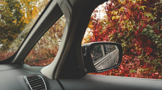 Driving through autumn foliage on a rainy day, view from car window