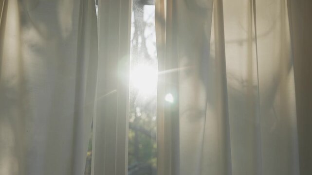 Sunlight shining inside home or apartment through glass window with curtain. Daylight entering room. Bright summer day with forest or natural background. Early morning or afternoon light lens flare