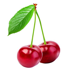 Two ripe fresh cherries with stem and a single green leaf