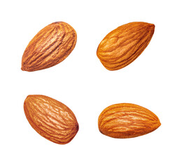 Almond nuts falling, a healthy natural snack food