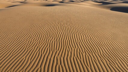 Obraz premium Golden Sand Dunes with Rippled Patterns in a Vast Desert Landscape.