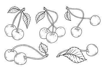Collection of summer cherry berry outlines, simple fruit sketches. Vector graphics. © Катерина Якубович