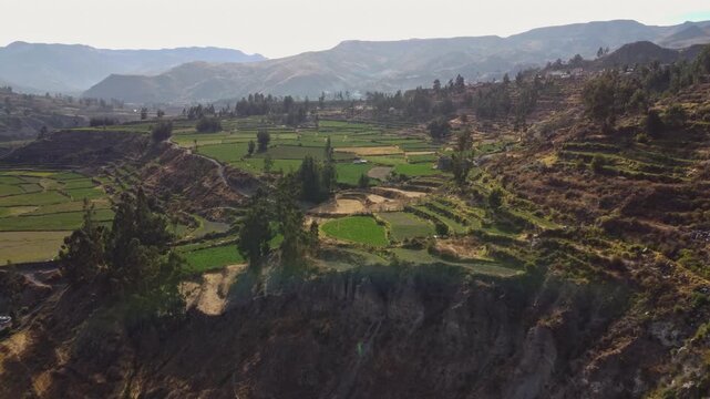 Aerial drone view of agricultural terraces and vegetation in Colca Valley, Peru