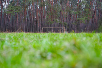 Football field or pitch in the pine forest. The concept of world football in its various versions. Soccer global phenomenon. Shallow depth of field. Copy space.