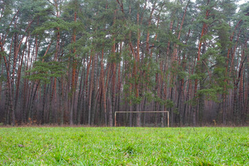 Football field or pitch in the pine forest. The concept of world football in its various versions. 