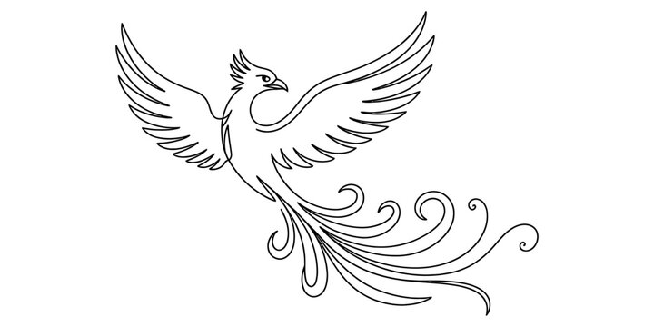 Elegant phoenix bird in flight, rendered in minimalist black and white line art Vector, illustration