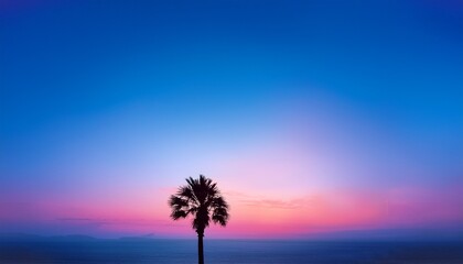 Obraz premium A Solitary Palm Tree Silhouetted Against A Gradient Sky Of Blue And Pink Hues