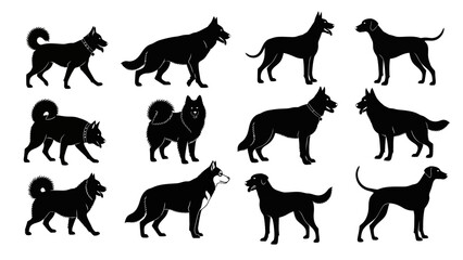 Fototapeta premium Collection of Canine Silhouettes - Various Breeds and Poses of Dogs