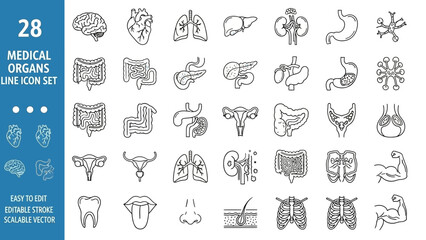 Illustration of various medical organs icons in a grid layout on a white background with blue sidebar