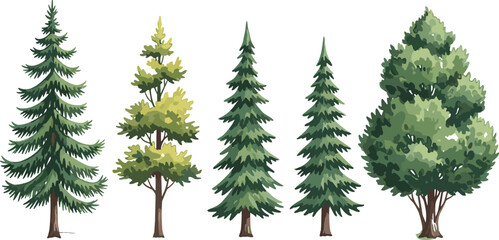 Cartoon vector illustration of coniferous and deciduous trees for forest, nature, biodiversity, educational, and landscape design stock content. © Shaqbia