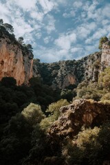 Naklejka premium Lush forested canyon with majestic cliff faces under cloudy sky