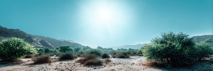 Sunlit desert landscape with green shrubs and mountainous horizon