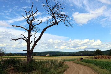 Landschaft oberhalb von Spay mit Blick auf die Marksburg oberhalb von Braubach  in Rheinland-Pfalz...