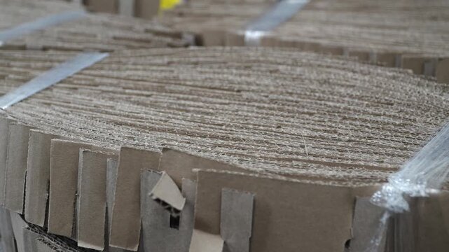 Fabrica de empaques de cart&oacute;n y tarimas de madera para log&iacute;stica industrial 