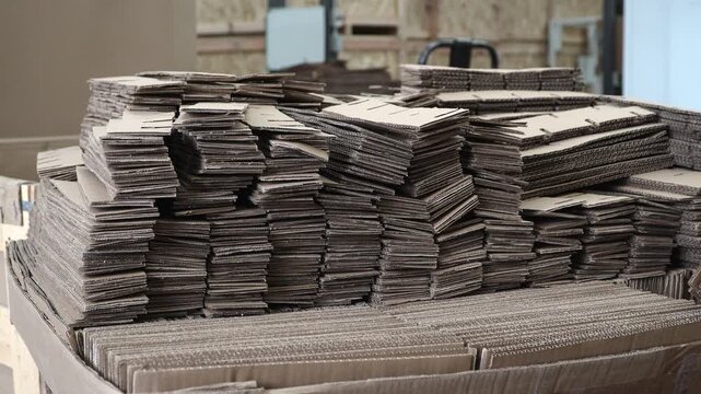 Fabrica de empaques de cart&oacute;n y tarimas de madera para log&iacute;stica industrial 