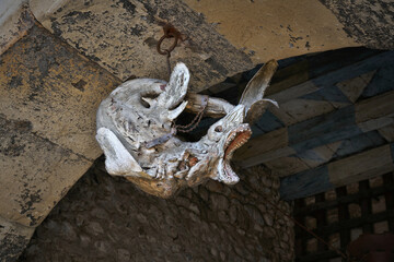 mumifizierter Haifisch am unteren Tor, dem Stadttor von Bregenz in &Ouml;sterreich, an der Grenze zwischen Oberstadt und Unterstadt. Er diente zum vertreiben b&ouml;ser Geister