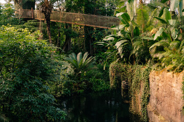Leipzig, Germany - Dec 2 2025 Leipzig Zoo Tropical Rainforest inside Gondwanaland greenhouse