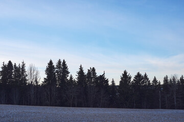 Photography from Kronborgs&aelig;tergrenda at rural Toten, Norway, in December 2025.