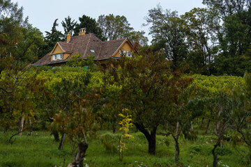 Farmhouse in scenic vineyard in European countryside