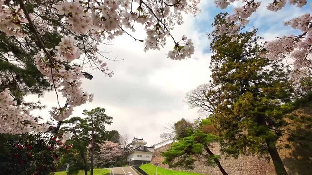 桜と仙台城大手門跡の風景【宮城県仙台市】