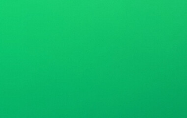 Solid green background ©  Mukta Parvin