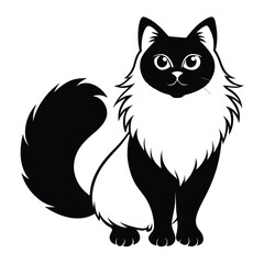 Obraz premium himalayan cat line art silhouette vector illustration