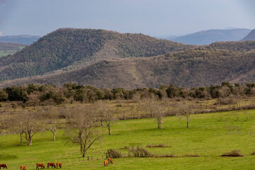 Valle de Angulo (Burgos)