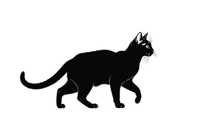 Fototapeta premium Black cat silhouette walking with whiskers visible 1