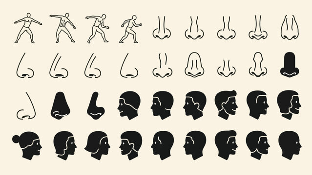 Human anatomy illustrations side profiles noses and dynamic poses