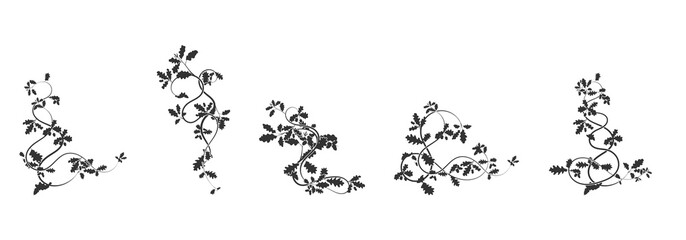 patterns ornament oak weaving complex elements