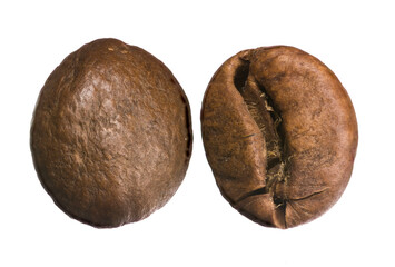 Close up of a coffee bean front and back with detailed texture, natural brown color, macro food photography isolated on white background.