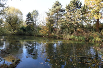 Sonniger Herbsttagb in einem Hammer Tierpark