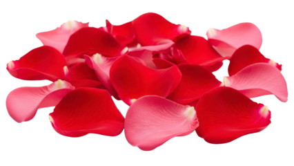 Pile of Rose Petals on a Transparent PNG Image File