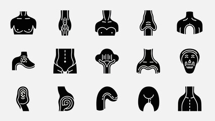 Human body parts silhouettes medical anatomy illustrations on white
