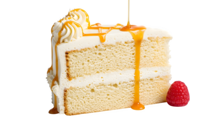 Delicious slice of vanilla cake with caramel drizzle and strawberry garnish isolated on transparent background