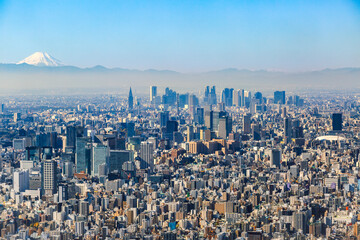 Dense urban skyline of Tokio, Japan, stretching endlessly across the horizon with distant views of Mount Fuji