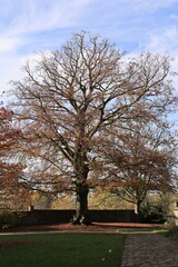 Obraz premium Schloss Cappenberg in der Stadt Selm im Münsterland